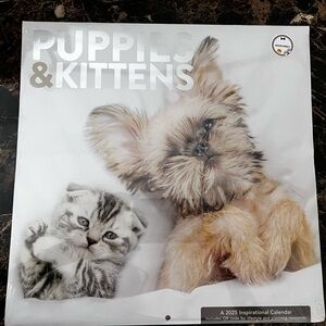 Puppies and kittens calendar 2025